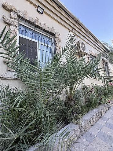 Деревья: Evin dibin bitdiyi üçün təcili satılır ciddi alıcıya endirimdə — 5