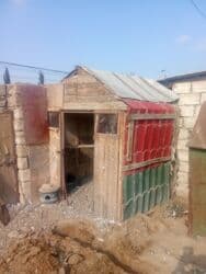 göyercin yuvasi: Boyuy qusxanadi — 2