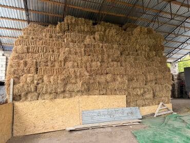 heyvanlara verilen adlar: Məhsul: Balya ot (saman) Təsvir: - Anbarda yığılmış, sıx balyalar — 1