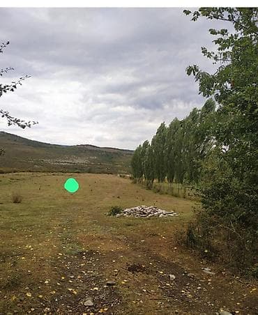 quşar: Kənd təsərrüfatı — 2