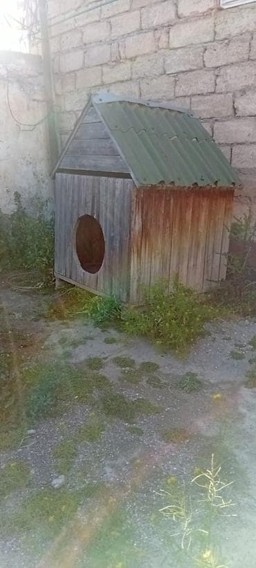 клетка для собак: Taxta it evi - Material: tam ağacdan yığma karkas və şifer tipli dam — 2