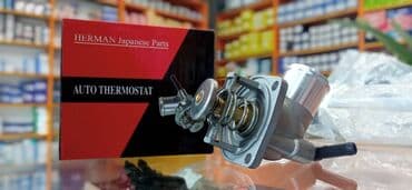 termostat opel astra f: Opel Astra, 1.6 l, Benzin, Analoq, Yeni — 1