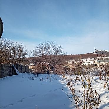 torpaq yeri: Tikinti, Mülkiyyətçi, Kupça (Çıxarış) — 8