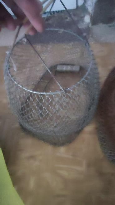 TəDiqqət Qədimi setkalar. bunlarda yaxşı yemək saxlamaq asmaq cox