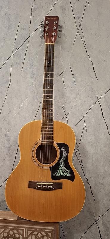 Akustik gitara, 6 sim