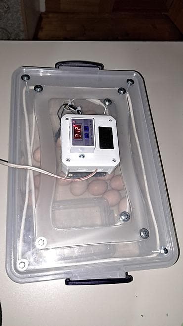 Оборудование для магазинов: Полностью автоматическая — 8