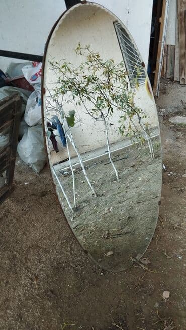 emusiya dekor: Güzgü Divar üçün, Oval, Dekorativ — 2