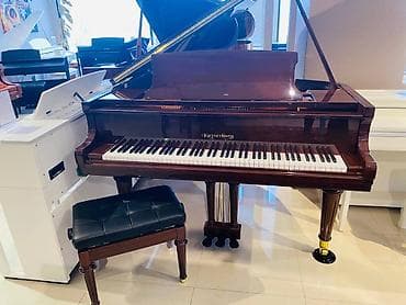 Liderlik tarixi digər Uzaq Şərqdəki fabrikaların yaranma tarixi qədər