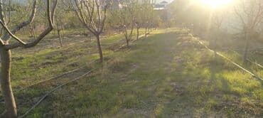 kiraye evler zabrat 2023: 1 otaqlı, 15 kv. m, Kredit yoxdur, Yeni təmirli — 7