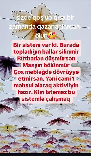 random hesab az: FM NETWORK MMC – rəsmi fəaliyyətlə əlavə gəlir imkanı - Daimi qazanca — 4