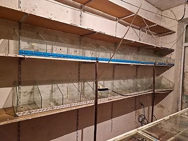 ikinci el vitrin: Mağaza avadanlıqları dəsti Tərkib: - Şüşə vitrin tezgahı: ön və — 3