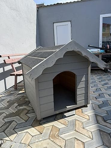 satiliq itler: Taxta it evi (250 alınıb 150 satılır) yenidir it yerləşmədi deyə — 2