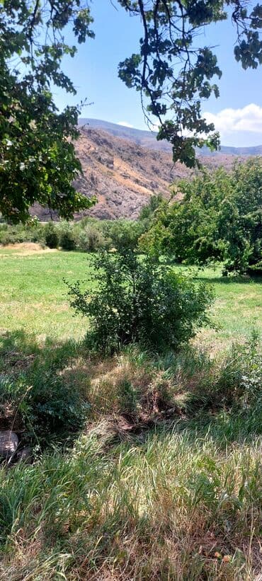 аренда и продажа недвижимости: Əkin sahəsi kənd təsərrüfatı fəaliyyəti üçün geniş imkanlar təklif — 9