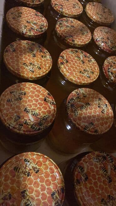 bal: 100% Tam Təbii bal. Endirim: İlk defe alanlara 10% endirim. 4kq — 8