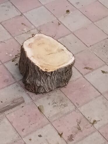 traktor 892 qiymeti: Et doğramaq ucun kotuk real alicilar ucun endirim var basqa kotuklerde — 7