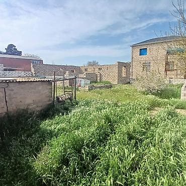 mehemmedide torpaq: Tikinti, Kupça (Çıxarış) — 2