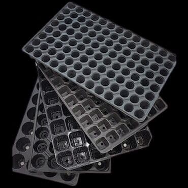 göbələk toxumu satışı: Şitil ücun qablarr qarpiz toxumlari uçun vathcapa yazn rayonlara — 1