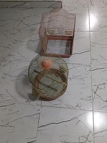 cex qus: Quş qəfəsləri – 2 ədəd dəst - Model 1: Dairəvi formalı, üst hissəsi — 1