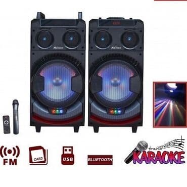 mp3 player: Ailiang karaoke speaker. Simsiz — 1