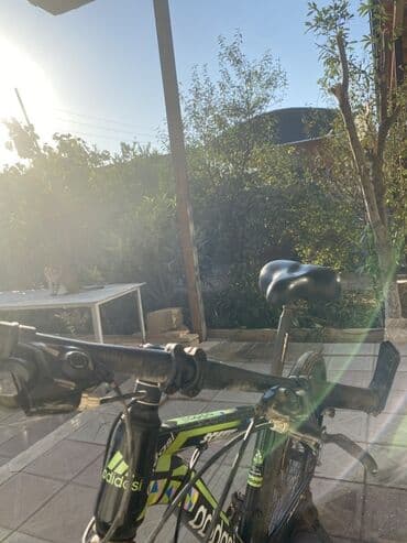 Velosiped – dağ/şəhər tipli, “Adidasi” (çərçivə üzərində yazı) lalafo.az -da Velosiped – dağ/şəhər tipli, “Adidasi” (çərçivə üzərində yazı)