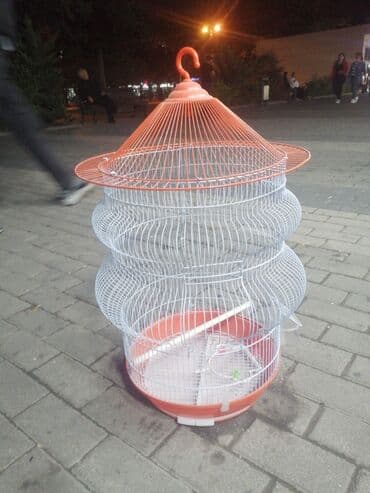 quş qəfəsləri: Qəfəs 9azn Valnisti Tutuquşu Qəfəsi 9azn Amadin Bülbül Qəfəsi 9azn — 14