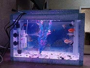 heyvanlar atlar: Akvaryum dəsti – tam işlək komplekt akvaryum, dekorativ “su damcısı” — 4