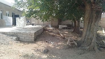 avto qaraj az: Mülkiyyətçi, Kupça (Çıxarış) — 4