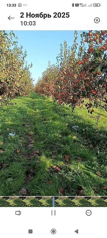 leziz dad qida mmc: Salam göycaydadi satlir kim isdese razilasma yolu ile 2 hekdardi — 2
