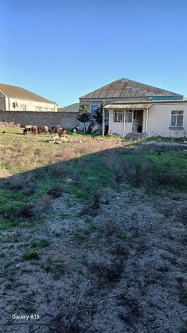 anaskinde heyet evleri: Tikinti — 5