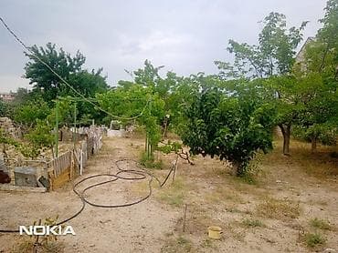 mastagada torpaq: 11 sot, Kupça (Çıxarış) — 1