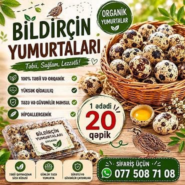 Yapon bildirçin yumurtalrinin satişi