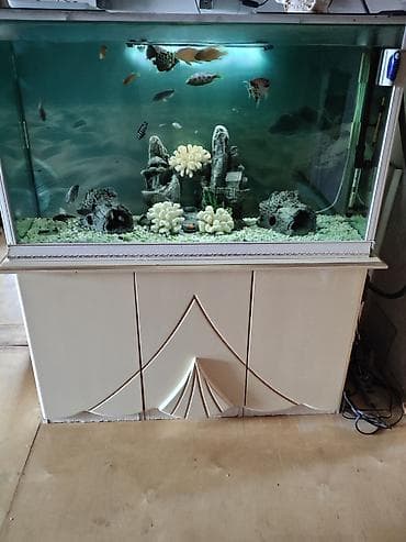 akvarium sumqayit: Akvarium-şkaf, Balıqlarla birlikdə, 1 l — 3
