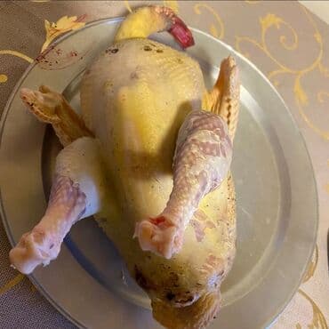 Məhsul: Təmizlənmiş ev quşu (bütöv)

Rayonda otlaqda saxlanılıb