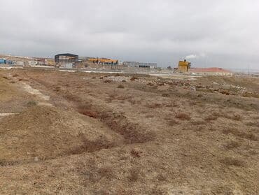 Kirayə torpaq sahələri: 40 sot, Tikinti, Mülkiyyətçi, Kupça (Çıxarış) — 6