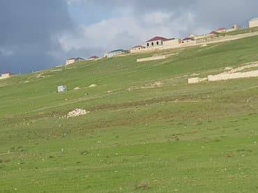 bine atcılıq: 80 sot — 1
