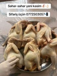 Ət və dəniz məhsulları: Qubadan gətirilən təzə kənd yumurtaları. - Təsvir: Təbii yemlə — 3