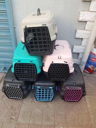 переноска для животных: 7eded dasima cantasi Turkiye istehsali prablemsiz yaxsi veziyetde 1i — 2