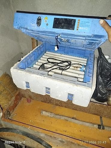 Kənd təssərüfatı avadanlığı: Mini Inkubator – avtomatik yumurta çıxarıcı - Model üzərində “MINI — 2