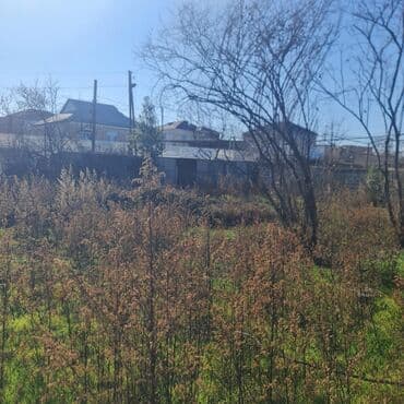 tərtər ev: 18 sot, Tikinti, Barter mümkündür, Kupça (Çıxarış) — 10