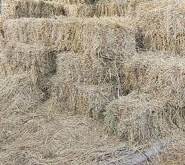 Təbii ot bağlamaları qiyməti 2.80 - Məhsul: quru təbii ot, preslənmiş