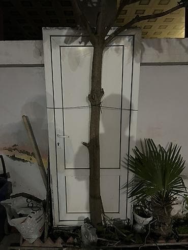 ayna qapi: Ağ rəngli giriş/qapı sistemi - Material: PVC/metal karkaslı kompozit — 1