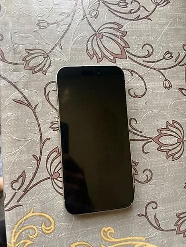 ayfon 7plus: IPhone 15 Pro, Gümüşü, Face ID — 4