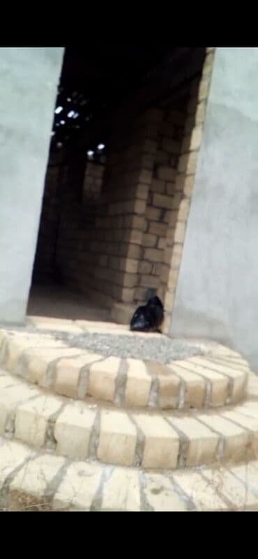 ucuz həyət evləri 2022: Gəncə, 200 kv. m, 4 otaqlı, Hovuzsuz, Kommunal xətlər qoşulmayıb — 2