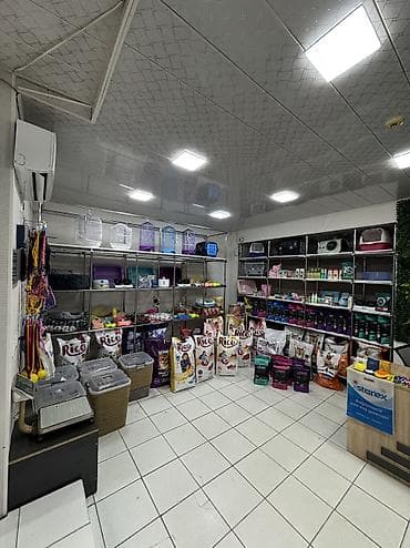 Оборудование для мойки: Zoo magaza ve kargo ikisi bir yerde satilir hazir biznes tecili — 2