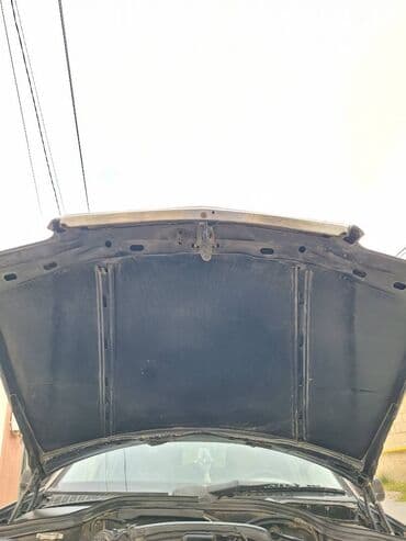 opel ölüxana zığ: Kapot 202 — 2