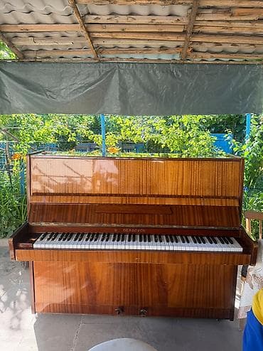İdman və hobbi: Piano, Belarus, Akustik, İşlənmiş, Ünvandan götürmə, Pulsuz çatdırılma, Ödənişli çatdırılma — 6