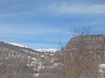 torpaq yeri: Tikinti, Mülkiyyətçi, Kupça (Çıxarış) — 9