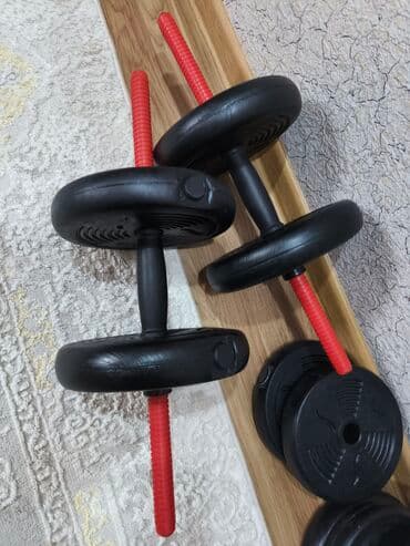 demir halqa ile ariqlamaq: Ştanq diski, Çəki: 40 kq, Yeni — 2