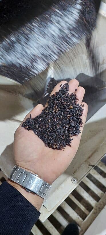 qar gülü: Qara düyü — 2