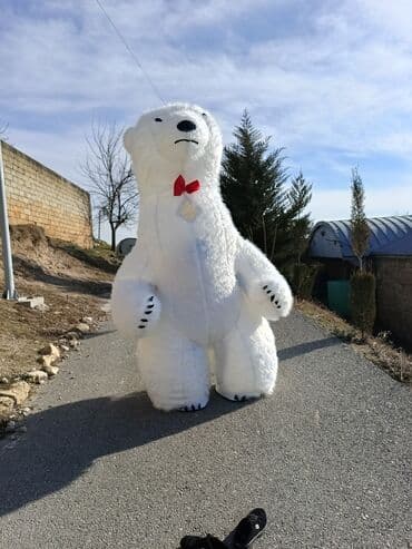 подарок мужчине на 23 февраля: Salam 3 metir ağ ayi tezedir hec bir problemi yoxdur ad gunu toy — 3